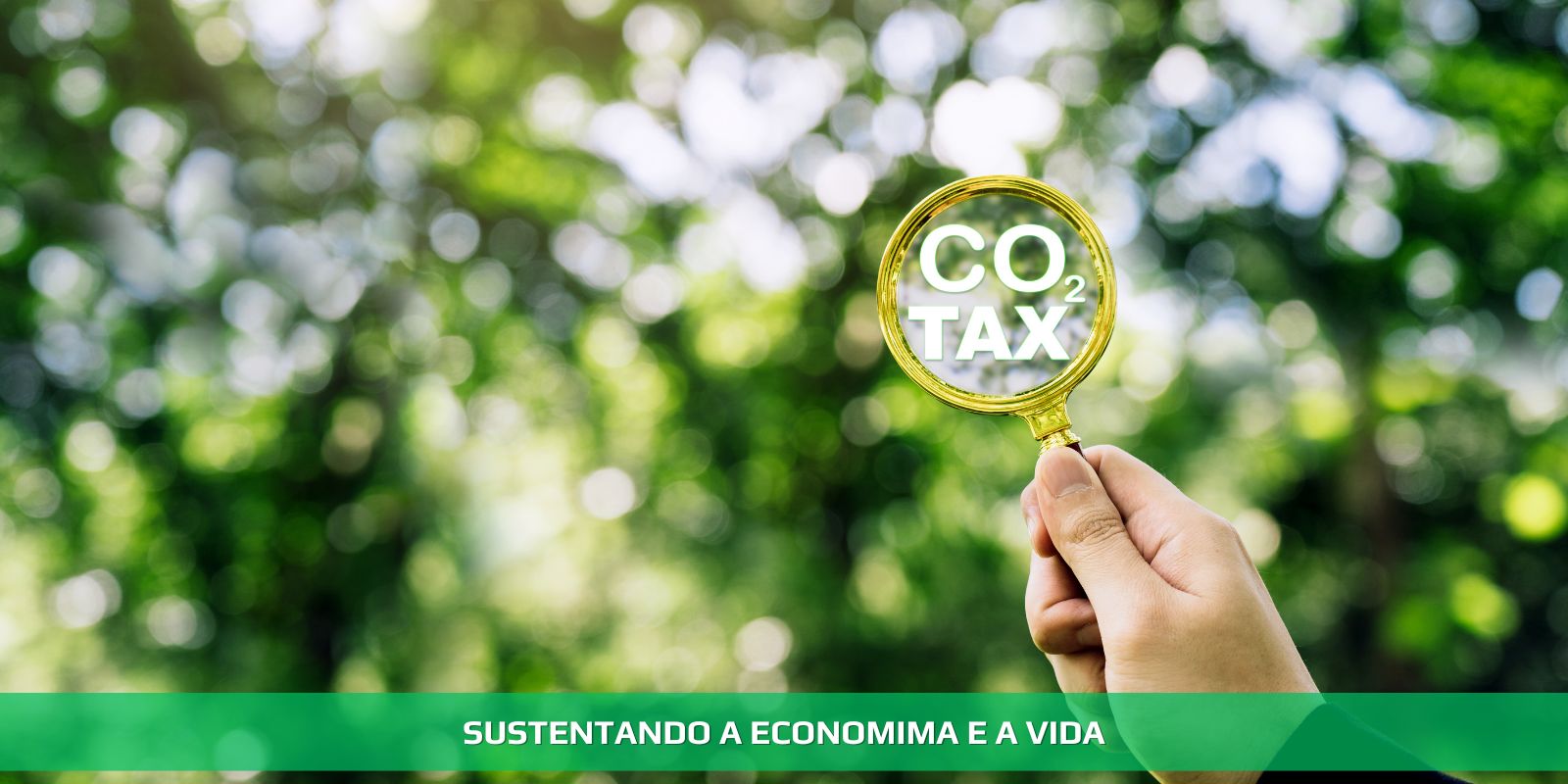 Figura 3 - BIOECONOMIA E CONTABILIDADE DE CARBONO